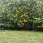 Leaves Starting to Turn in Sullivan County