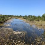Chapel Trail Nature Preserve